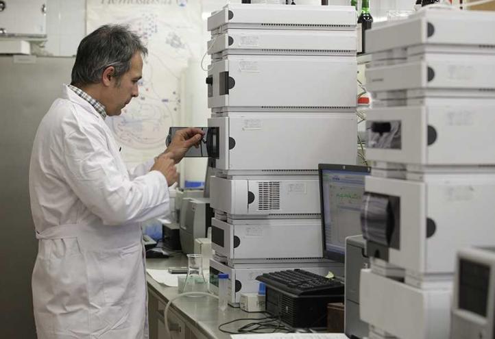Investigadores de la UCAM trabajan para incrementar los antioxidantes en el albaricoque