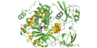 Structural Bioinformatics and High Performance Computing (BIO-HPC)