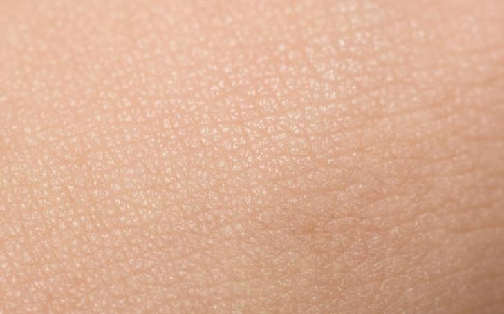 Trazo de piel previo al estudio para la interacción del colágeno con las células del cuerpo humano