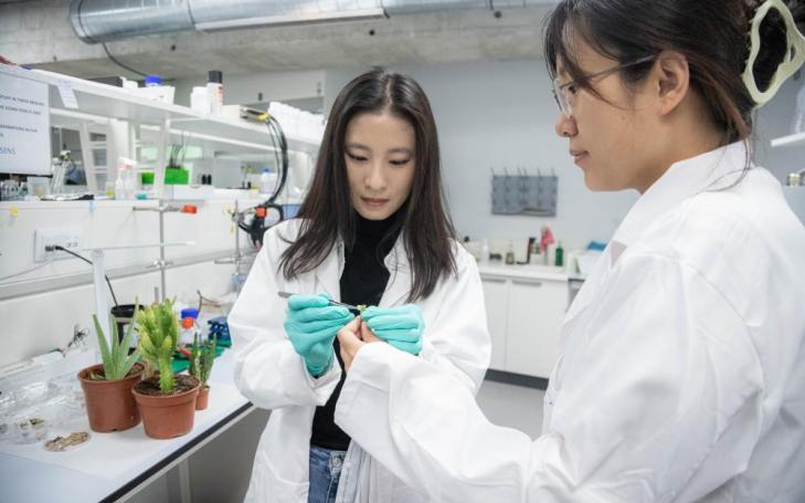 La UCAM, segunda universidad privada de España en investigación interdisciplinar