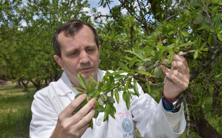 El investigador principal de la UCAM, José Ramón Acosta Motos, cogiendo muestras a pie de campo