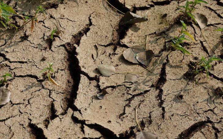 La cabecera del Segura podría dejar de generar la mitad de sus recursos antes de final de siglo La cabecera del Segura podría dejar de generar la mitad de sus recursos antes de final de siglo