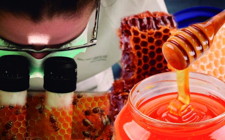Investigadores de la UCAM desarrollan nuevos métodos para detectar antibióticos en la miel
