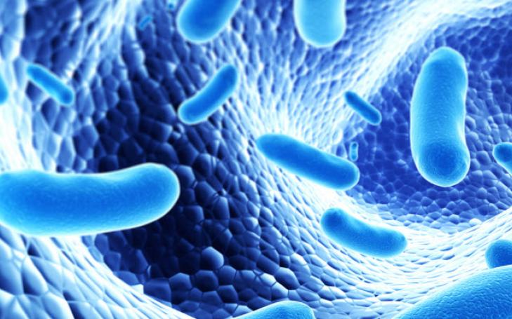 Premio a la Mejor Investigación con Probióticos Premio a la Mejor Investigación con Probióticos