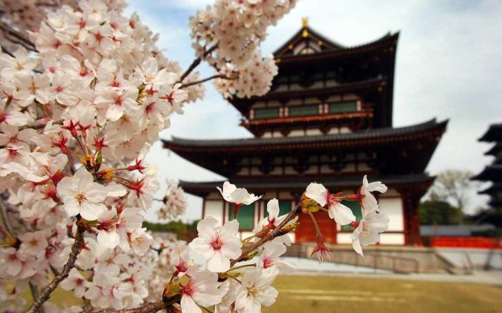 El Grupo BIO-HPC presenta en Japón los resultados del tratamiento para el ZIKA El Grupo BIO-HPC presenta en Japón los resultados del tratamiento para el ZIKA