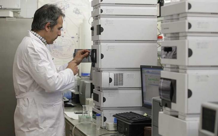 Investigadores de la UCAM trabajan para incrementar los antioxidantes en el albaricoque