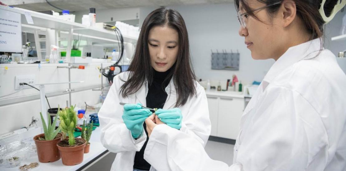 La UCAM, segunda universidad privada de España en investigación interdisciplinar