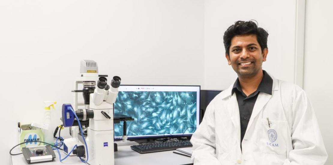 El investigador Jeevithan Elango muestra el hidrogel a nivel microscópico en el laboratorio de UCAM HiTech.