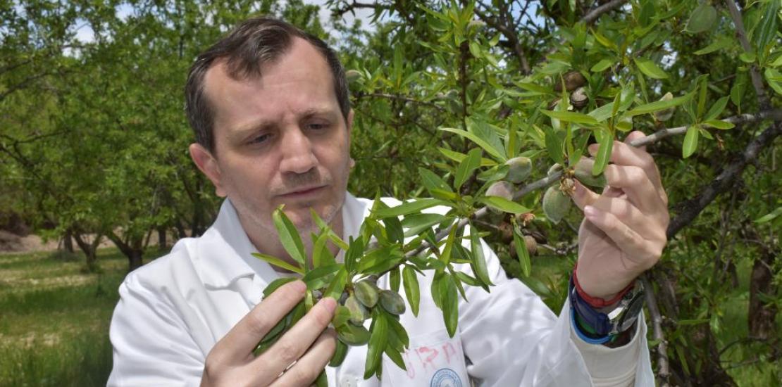 El investigador principal de la UCAM, José Ramón Acosta Motos, cogiendo muestras a pie de campo
