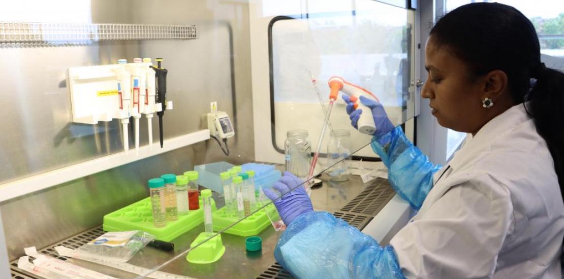 La investigadora Lakshmi Jeevithan en uno de los laboratorios de la Universidad Católica de Murcia.
