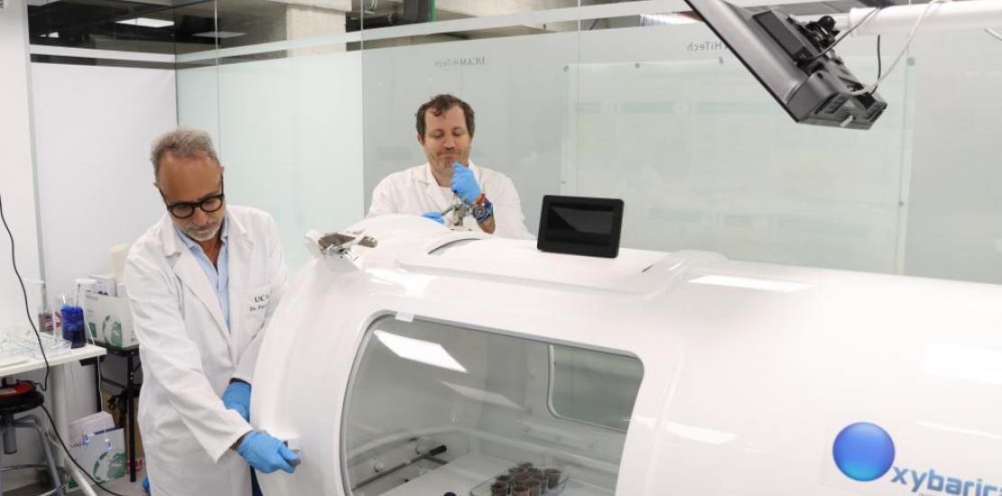 Los investigadores Antonio José Pérez-López y José Ramón Acosta-Motos, del grupo de investigación BioVegA² de la UCAM, realizando pruebas en la cámara hiperbárica.