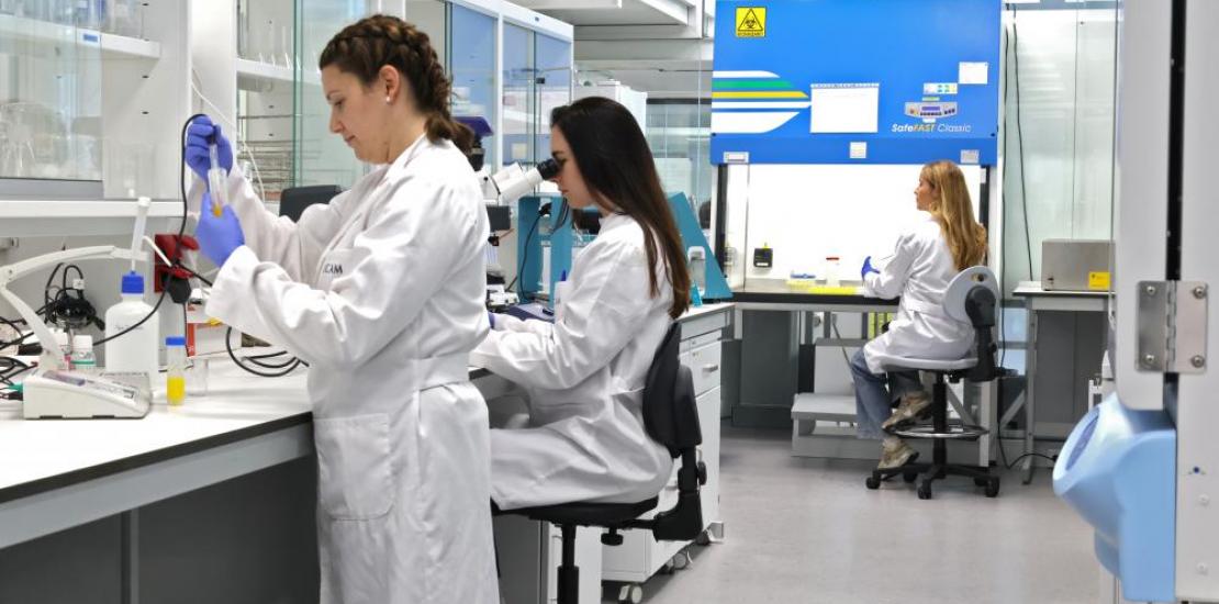 Investigadoras predoctorales de la UCAM realizando sus estudios