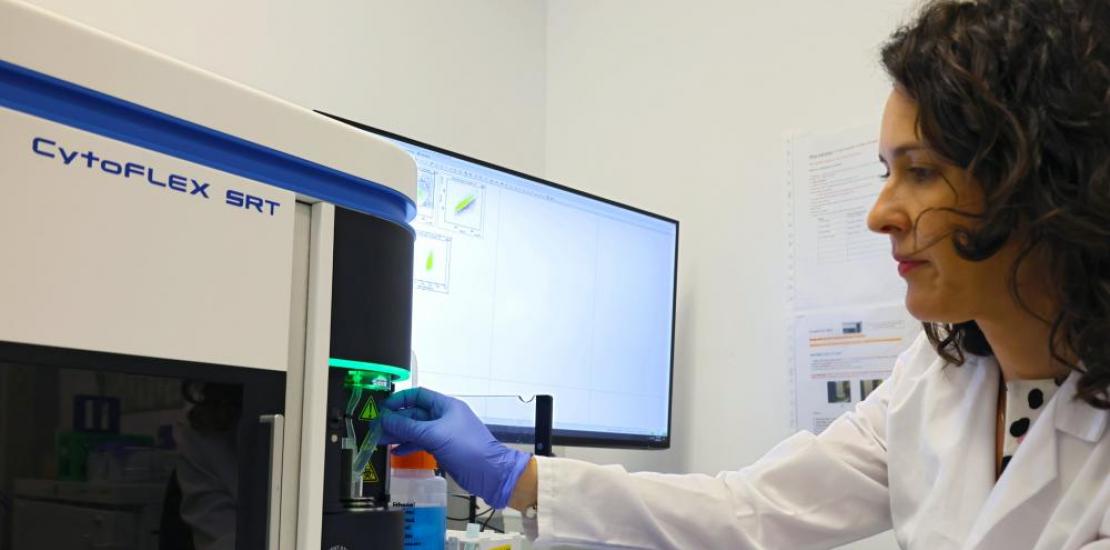 La científica de la UCAM, Adriana Ordóñez, utilizando el separador celular para su investigación