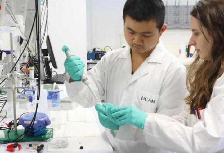Los investigadores Águeda Molinero y Qianyu Wang, dirigidos por los profesores María Cuartero y Gastón Crespo, codirectores de la Unidad de Química de Sensores UCAM SENS.