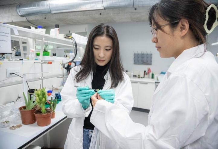 La UCAM, segunda universidad privada de España en investigación interdisciplinar