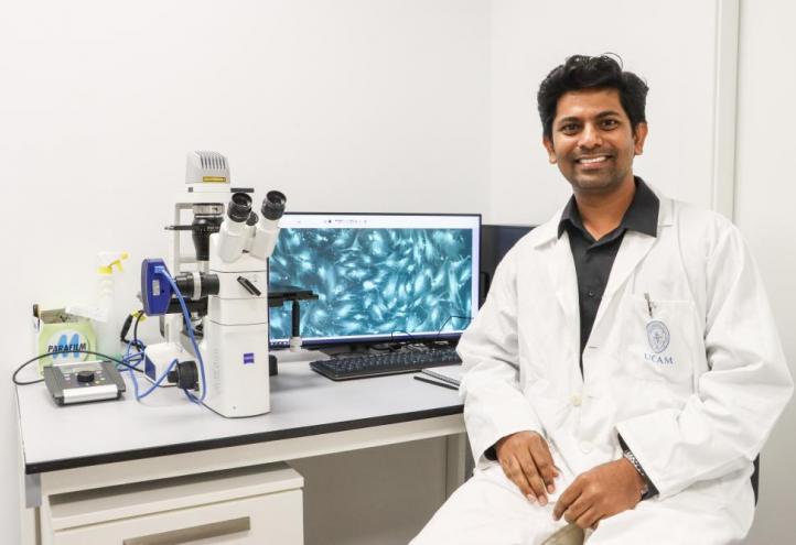 El investigador Jeevithan Elango muestra el hidrogel a nivel microscópico en el laboratorio de UCAM HiTech.