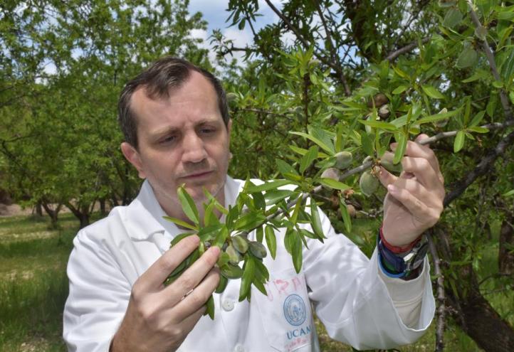 El investigador principal de la UCAM, José Ramón Acosta Motos, cogiendo muestras a pie de campo