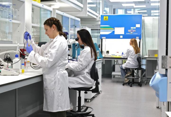 Investigadoras predoctorales de la UCAM realizando sus estudios