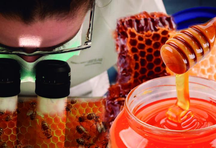 Investigadores de la UCAM desarrollan nuevos métodos para detectar antibióticos en la miel