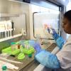 La investigadora Lakshmi Jeevithan en uno de los laboratorios de la Universidad Católica de Murcia.